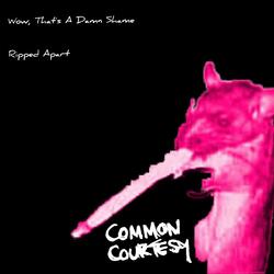 Wow, That's a Damn Shame