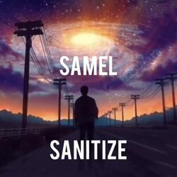 Sanitize