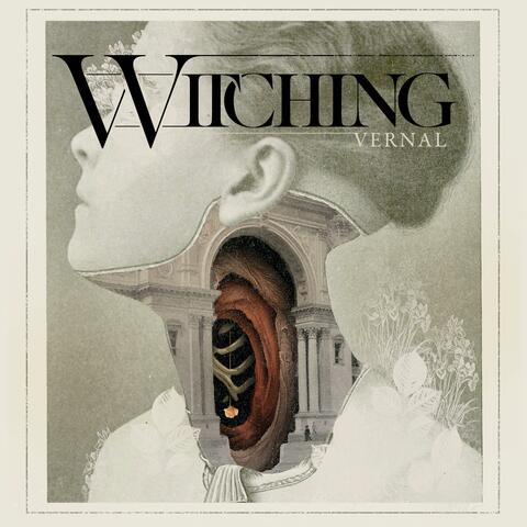 Witness