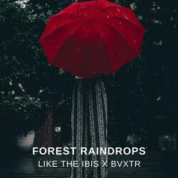 Forest Raindrops