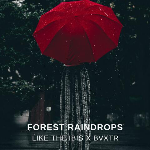 Forest Raindrops