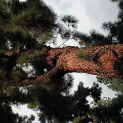 Exploration Gas Planets