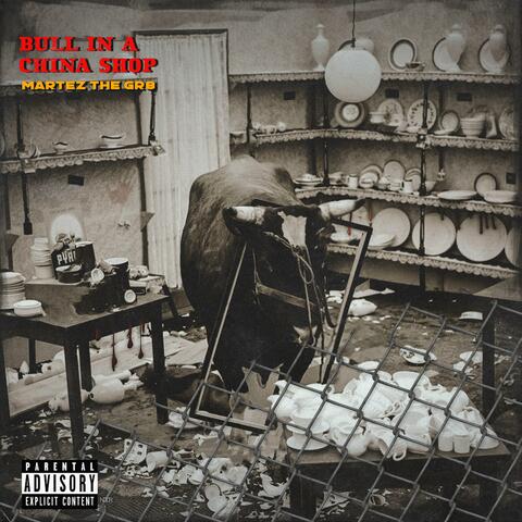 Bull in a China Shop