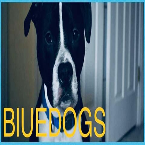 Bluedogs