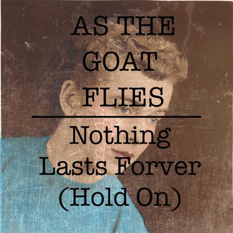 Nothing Lasts Forever (Hold On)