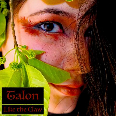 Talon, Like the Claw