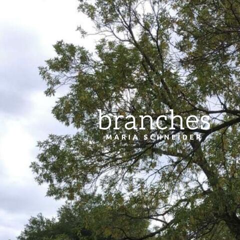 Branches