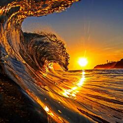 Surf
