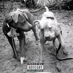 Gang Shyt