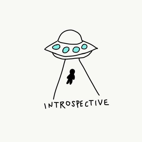 Introspective