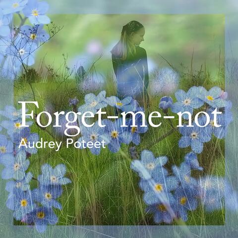 Forget-Me-Not
