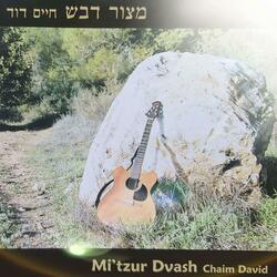 Nigun Shaalvim