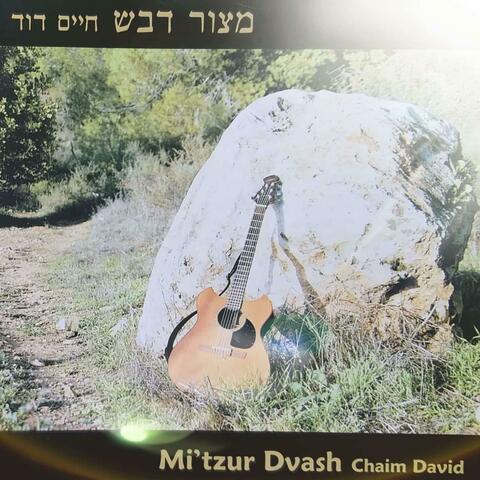 Mi'tzur Dvash