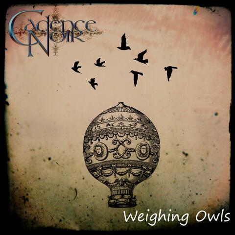 Weighing Owls
