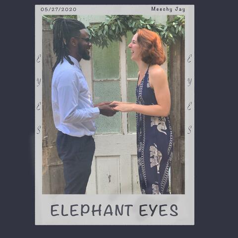 Elephant Eyes