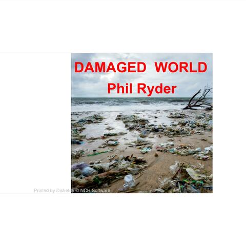 Damaged World