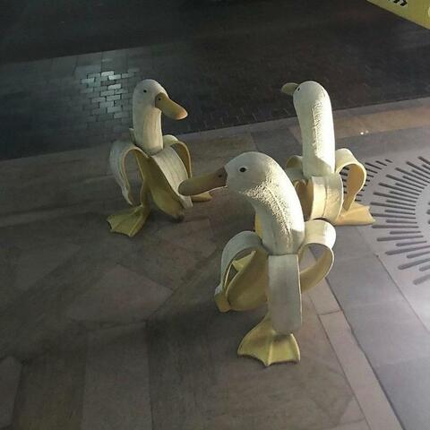 Banana Ducks