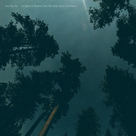 It's Such a Shame That We Only Have One Moon