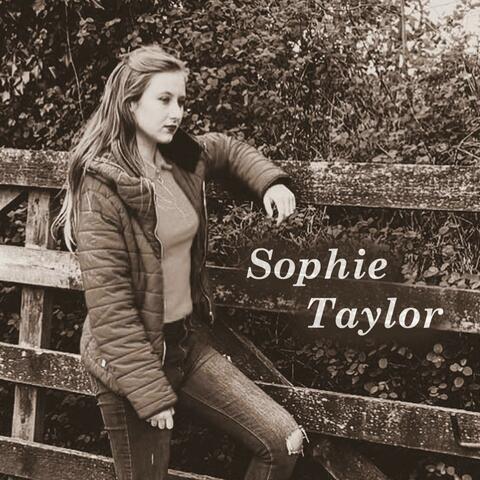 Blanket on the Ground