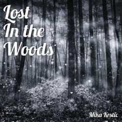 Lost in the Woods