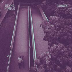 Catwalk (feat. HTML)
