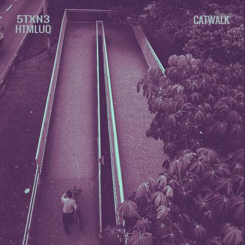 Catwalk (feat. HTML)