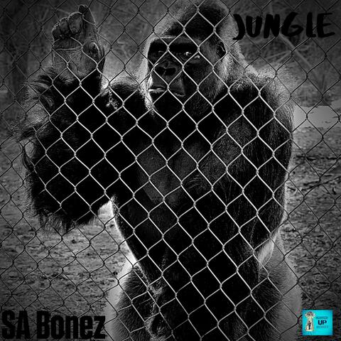 Jungle