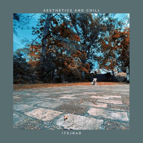 Aesthetics and Chill