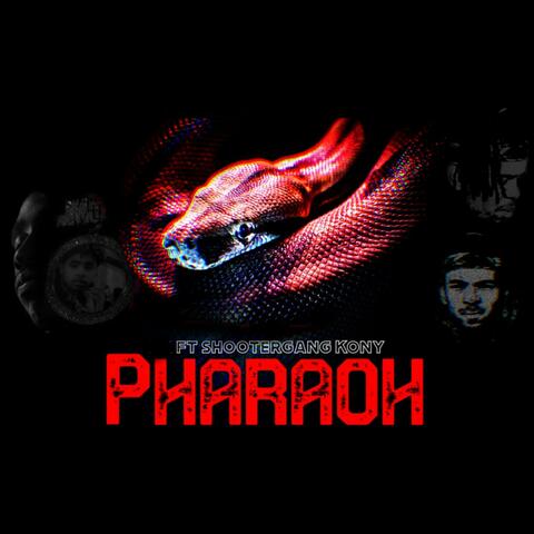 Pharaoh (feat. Shootergang Kony)