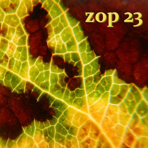 Eight Ways to Protect Mother Earth