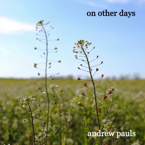 On Other Days (We Need the Rain)