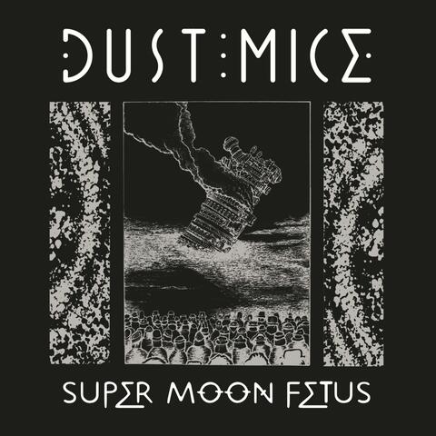 Super Moon Fetus