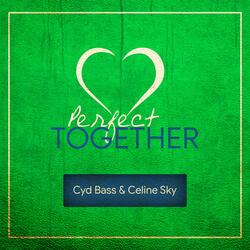 Perfect Together