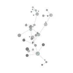 Instance