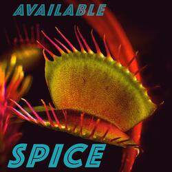 Spice