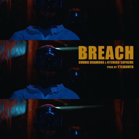 Breach