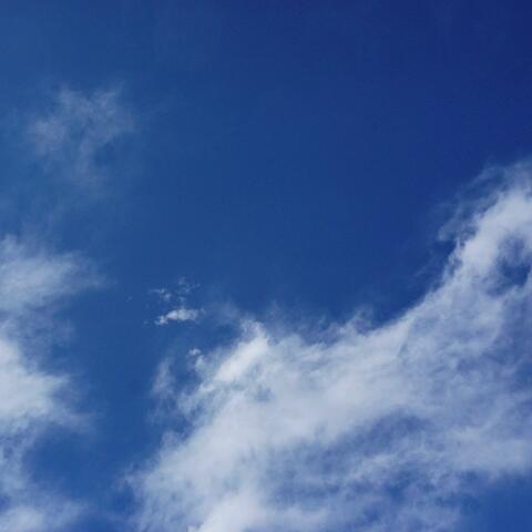 Montana Sky