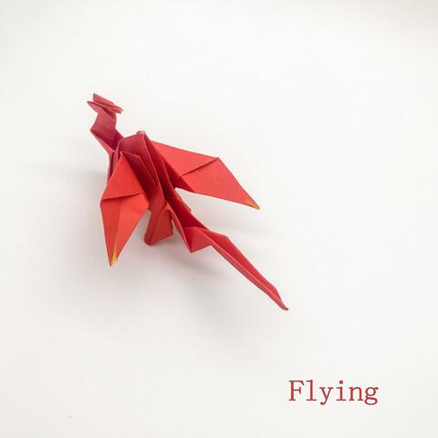 Flying