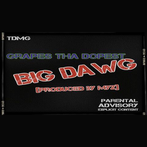 Big Dawg