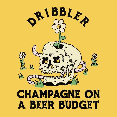 Champagne on a Beer Budget