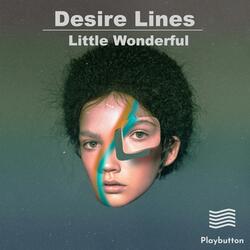 Little Wonderful