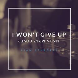 I Won't Give Up