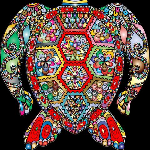 Groove Turtle