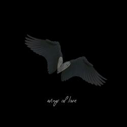 Wings of Love