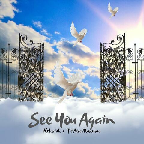 See You Again (feat. Te'aire Marshae)