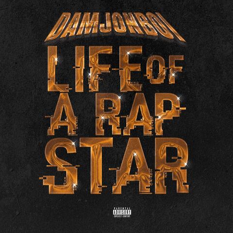 Life of a Rap Star