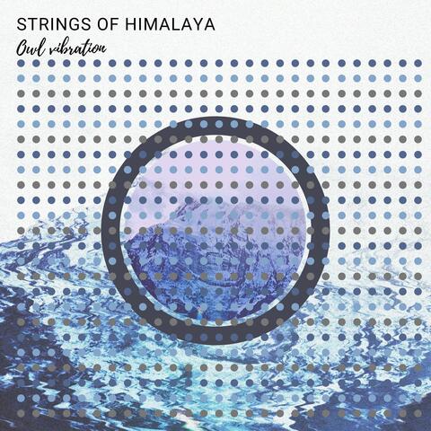 Strings of Himalaya