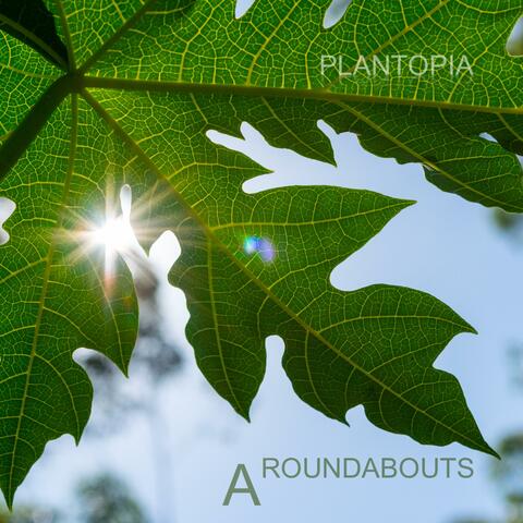 Aroundabouts