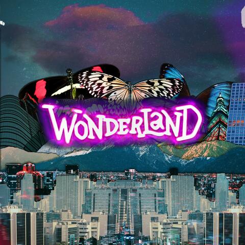 Digital Wonderland