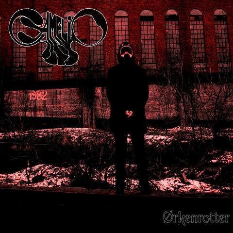 Ørkenrotter